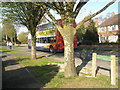 Bus in Ferndale- Havant bound