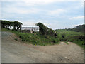 Farm Track to Peniarth