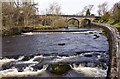 Railway bridge over the Allan Water