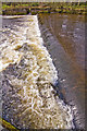 Weir on the Allan Water