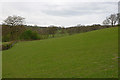 Field near Penyrwtre farm