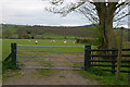 Footpath in the Trannon valley