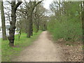 Cycle path beside Hucknall Road