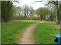 Footpath south of Papplewick