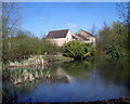 Pond in Langford Village