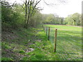 The Wey-South Path running alongside the B2133