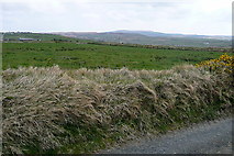 R0879 : Pasture at Kilcorcoran by Graham Horn