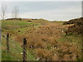 Moorland adjacent to A4047