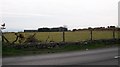 Farm shed at Fferm Cromlech, Y Ffor.