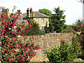 A glimpse of Longham Hall