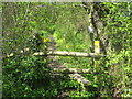 Stile near East Blean Wood