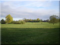 Whiston Hall parkland from the south