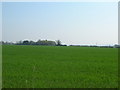 Farmland near the M1