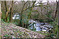 Penkiln Burn south of Queen Mary