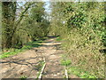 Bridleway at Felley Mill