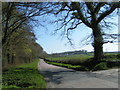 Country road in West Devon, part of the National Cycle Route 27