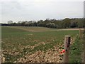 Field south of Wivelsfield Green