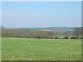 Farmland looking towards Willey Spring