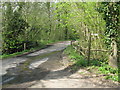 The Wey-South Path joining Drungewick Lane