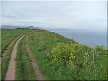 SY0883 : East Devon : Coastal Path & Coastline by Lewis Clarke
