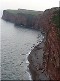 SY0883 : East Devon : Cliffs & Seagulls by Lewis Clarke