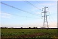 Electricity Pylon in the field