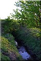 Northfield Brook