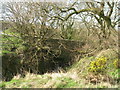 Bridge over the Burn of Melrose