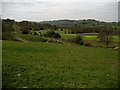 A View down Sabden Valley