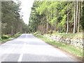 Road from Blacktop to Gairnlea