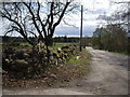 Access to Colthill Farm