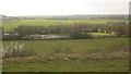 View of fields near Warren Farm