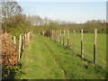 Bridleway on Wraik Hill