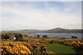 V8941 : Gorse over Dunmanus by Andrew Wood