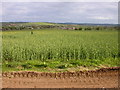 Rainsbrook Valley Farmland