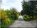 Parish Ghyll Lane, Ilkley