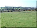 View across sheep grazings towards Plas Newydd farm