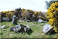 V8539 : Stones in Gorse by Andrew Wood