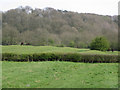 Ridge and furrow near King John