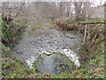 Flood Erosion, Ettrick Water