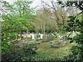 Part of Highgate Cemetery