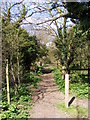 TM3977 : Footpath to New Reach & River Lane by Geographer