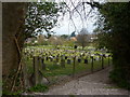 Cemetery in Willingdon