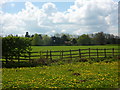 Field towards Firs Farm