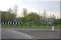 Black Down  Roundabout