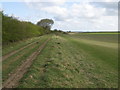 Former quarry edge on the Jurassic Way