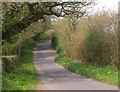 Lane near Lovedere Farm