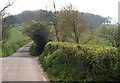 Lane above Andersfield