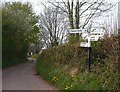 Lane junction on the Quantocks