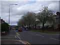 Caerphilly Rd, Cardiff, in blossom time